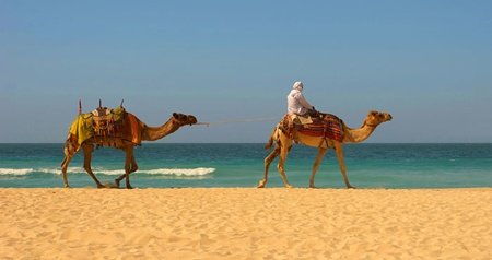 Tới Morocco để thăm thú làng của người du mục, ngắm hoàng hôn trên sa mạc Sahara